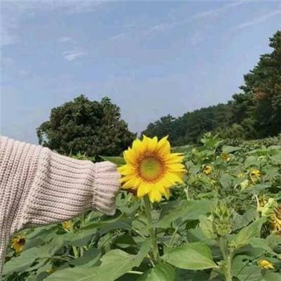 逗斗火柴人华为账号登录版下载