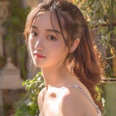 热血圣斗士变态版下载